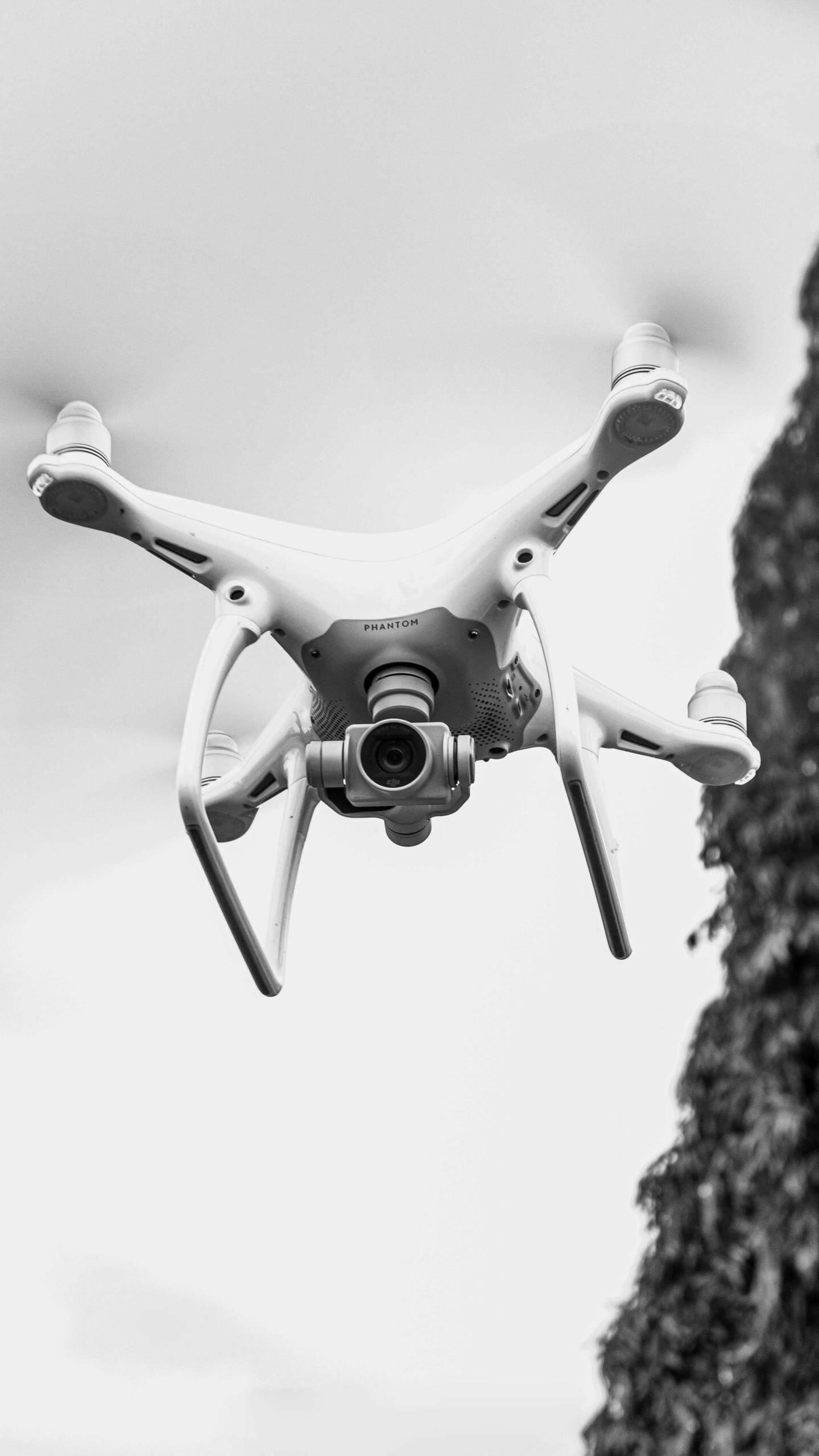 drone_golenhawks-security